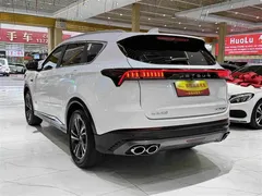 2021 Jetour X70 PLUS 1.5T DCT 7-seat, белый — фото 4