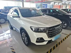 2021 Haval H6 1.5GDIT AT, белый — фото 4