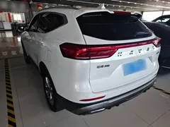 2021 Haval H6 1.5GDIT AT, белый — фото 5