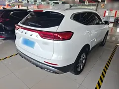 2021 Haval H6 1.5GDIT AT, белый — фото 7