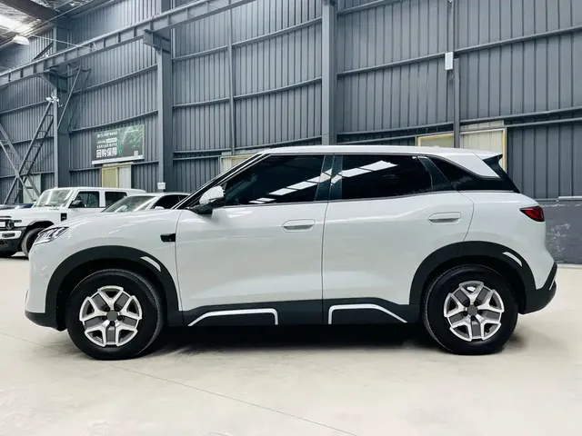 2025 BYD Yuan UP Smart Driving 401km Vitality