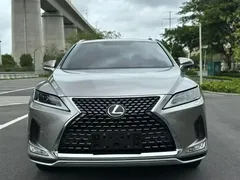 2020 Lexus RX 300 2WD Elite National V — фото 2