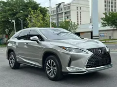 2020 Lexus RX 300 2WD Elite National V — фото 3