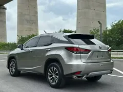 2020 Lexus RX 300 2WD Elite National V — фото 8