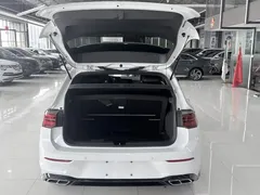 2021 Volkswagen Golf 280TSI DSG R-Line, белый — фото 13