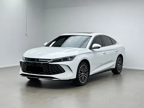 2025 BYD Qin L 120KM