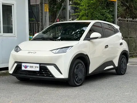 2024 BYD Seagull Honor 305km Vitality