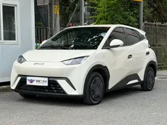 2024 BYD Seagull Honor 305km Vitality, белый — фото 1