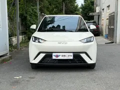 2024 BYD Seagull Honor 305km Vitality, белый — фото 2