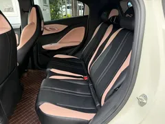 2024 BYD Seagull Honor 305km Vitality, белый — фото 11