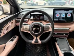 2024 BYD Seagull Honor 305km Vitality, белый — фото 13