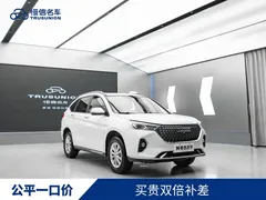 2021 Haval M6 PLUS 1.5T DCT, белый — фото 2