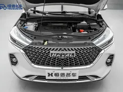 2021 Haval M6 PLUS 1.5T DCT, белый — фото 20