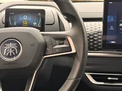 2021 BYD Qin PLUS EV 400KM, белый — фото 14
