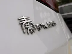 2021 BYD Qin PLUS EV 400KM, белый — фото 18