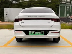 2021 BYD Qin PLUS EV 400KM, белый — фото 20