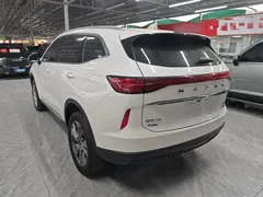 2023 Haval H6 DHT-PHEV 55KM, белый — фото 5