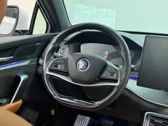 2023 BYD Tang DM-i PHEV Champion 112KM Premium, белый — фото 14