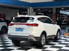 2021 Haval H6 1.5T AT, белый — фото 22