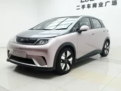 2021 BYD Dolphin 401km Rider — фото 1