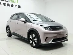 2021 BYD Dolphin 401km Rider — фото 2