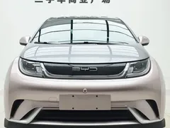 2021 BYD Dolphin 401km Rider — фото 3