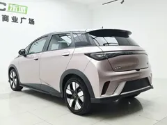 2021 BYD Dolphin 401km Rider — фото 4