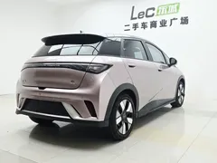 2021 BYD Dolphin 401km Rider — фото 5