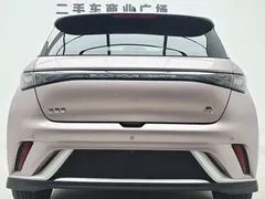 2021 BYD Dolphin 401km Rider — фото 6