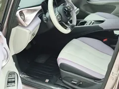 2021 BYD Dolphin 401km Rider — фото 8