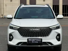 2021 Haval M6 Plus 1.5T DCT Luxury, белый — фото 2