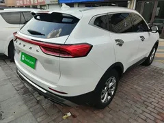 2021 Haval H6 1.5GDIT AT, белый — фото 5
