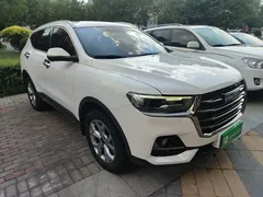 2021 Haval H6 1.5GDIT AT, белый — фото 22