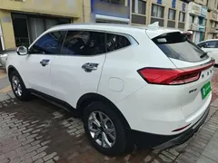 2021 Haval H6 1.5GDIT AT, белый — фото 23