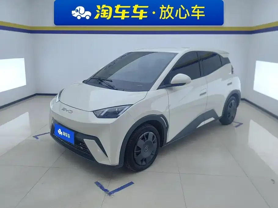 2023 BYD Seagull Vitality