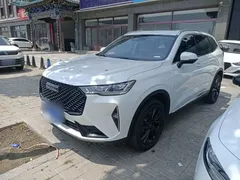 2021 Haval H6 2.0T AT 4WD Max, белый — фото 2