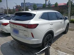 2021 Haval H6 2.0T AT 4WD Max, белый — фото 7