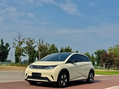 2024 BYD Dolphin Honor 420km Fashion