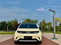 2024 BYD Dolphin Honor 420km Fashion — фото 2