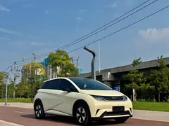2024 BYD Dolphin Honor 420km Fashion — фото 3