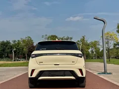 2024 BYD Dolphin Honor 420km Fashion — фото 8