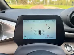 2024 BYD Dolphin Honor 420km Fashion — фото 10