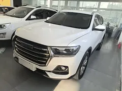 2021 Haval H6 1.5GDIT AT Guochao Champion, белый — фото 1