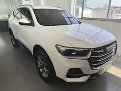 2021 Haval H6 1.5GDIT AT Guochao Champion, белый — фото 4