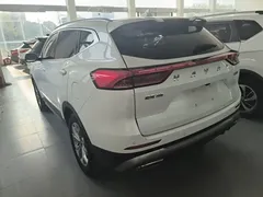 2021 Haval H6 1.5GDIT AT Guochao Champion, белый — фото 5
