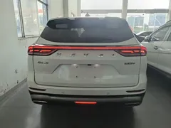 2021 Haval H6 1.5GDIT AT Guochao Champion, белый — фото 6