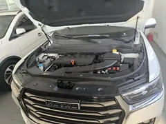 2021 Haval H6 1.5GDIT AT Guochao Champion, белый — фото 20