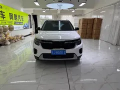 2023 Kia Seltos 1.5L CVT Luxury, белый — фото 2