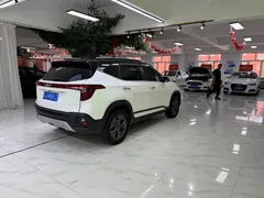 2023 Kia Seltos 1.5L CVT Luxury, белый — фото 6