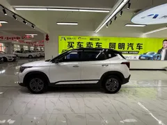 2023 Kia Seltos 1.5L CVT Luxury, белый — фото 7